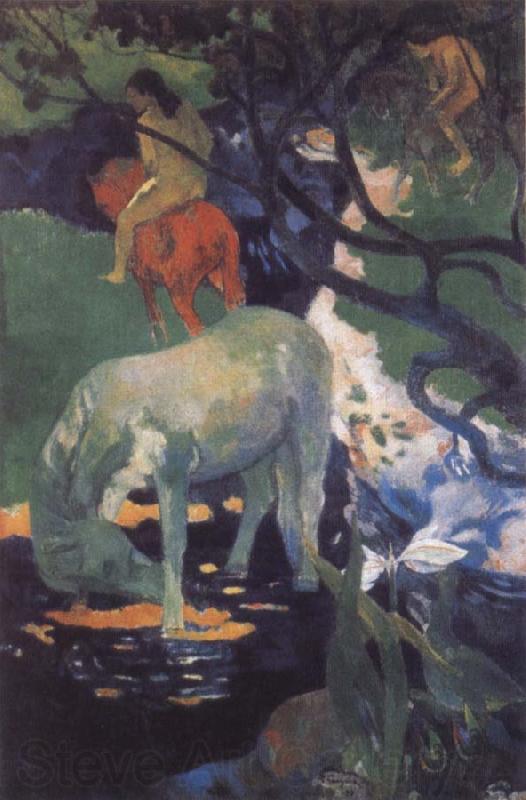 Paul Gauguin The White Horse Norge oil painting art